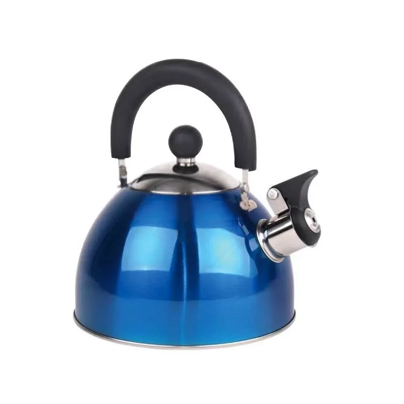 CAMP4 Bouilloire Cosima 1 CAMP4 Bouilloire Cosima