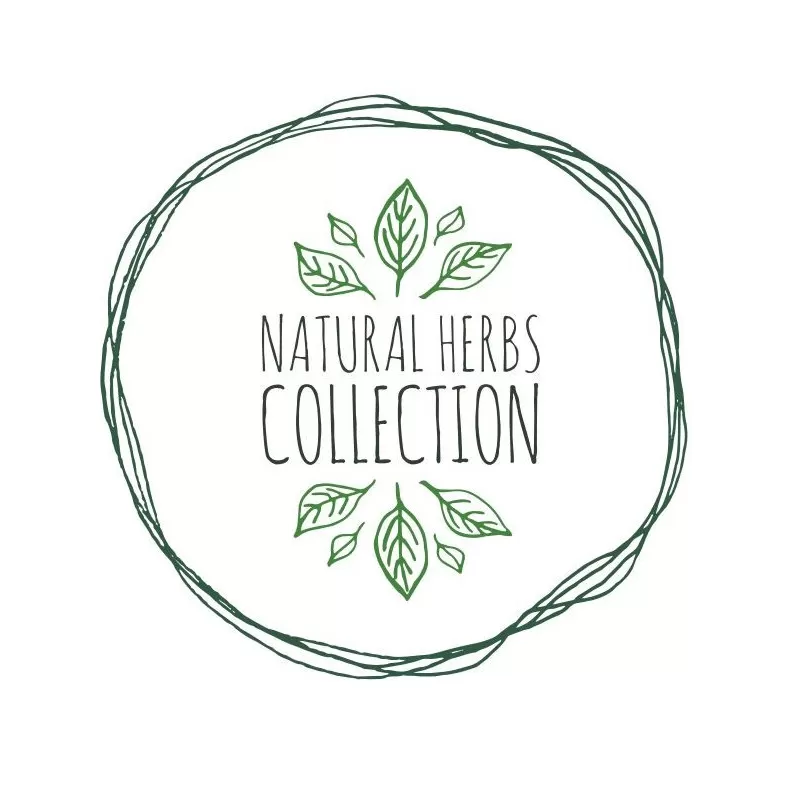 CAMP4 Set 8 Pièces Eco 2 CAMP4 Set 8 Pièces Eco – Image 2